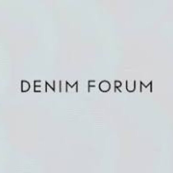 Aritzia Denim Forum EX- Boyfriend Short Size 26 - Picture 2 of 9